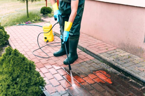 Best Dumpster Area Cleaning  in Mount Rainier, MD